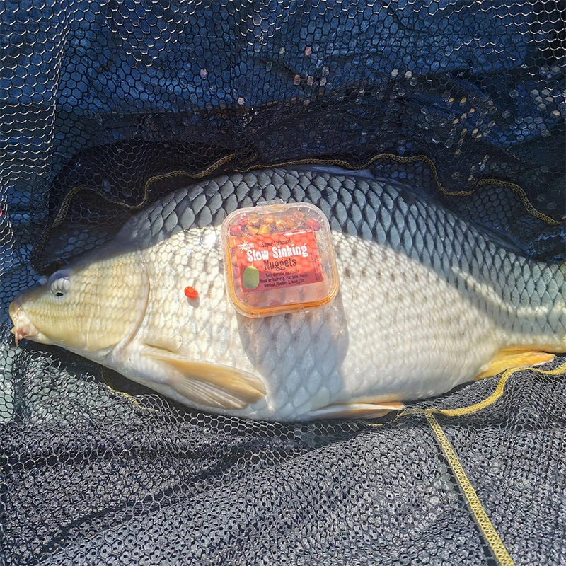 Dynamite Baits Slow Sinking Nuggets